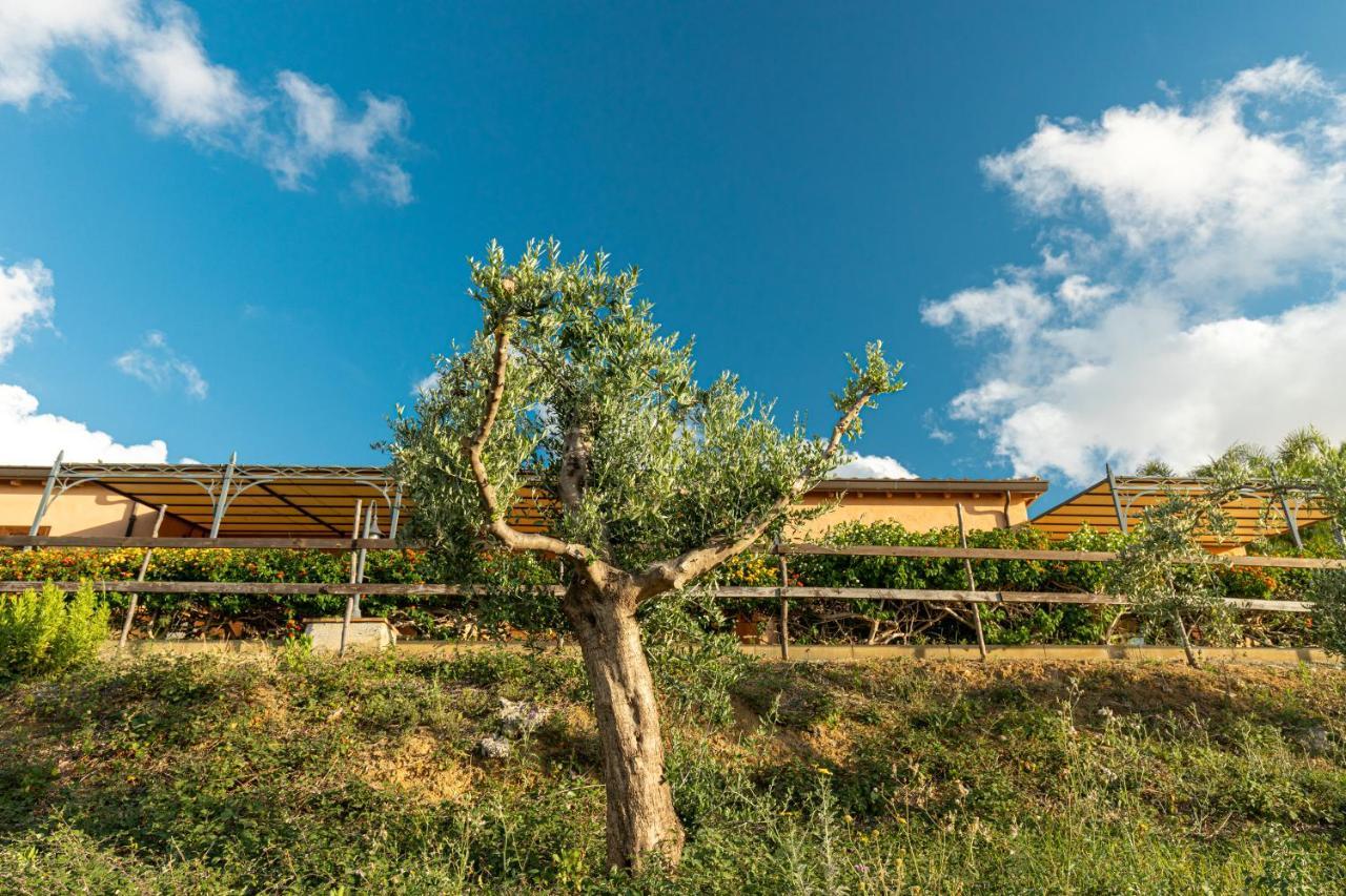 Solemar Sicilia - Le Casette Di Calzata カンポフェリーチェ・ディ・ロッチェッラ エクステリア 写真
