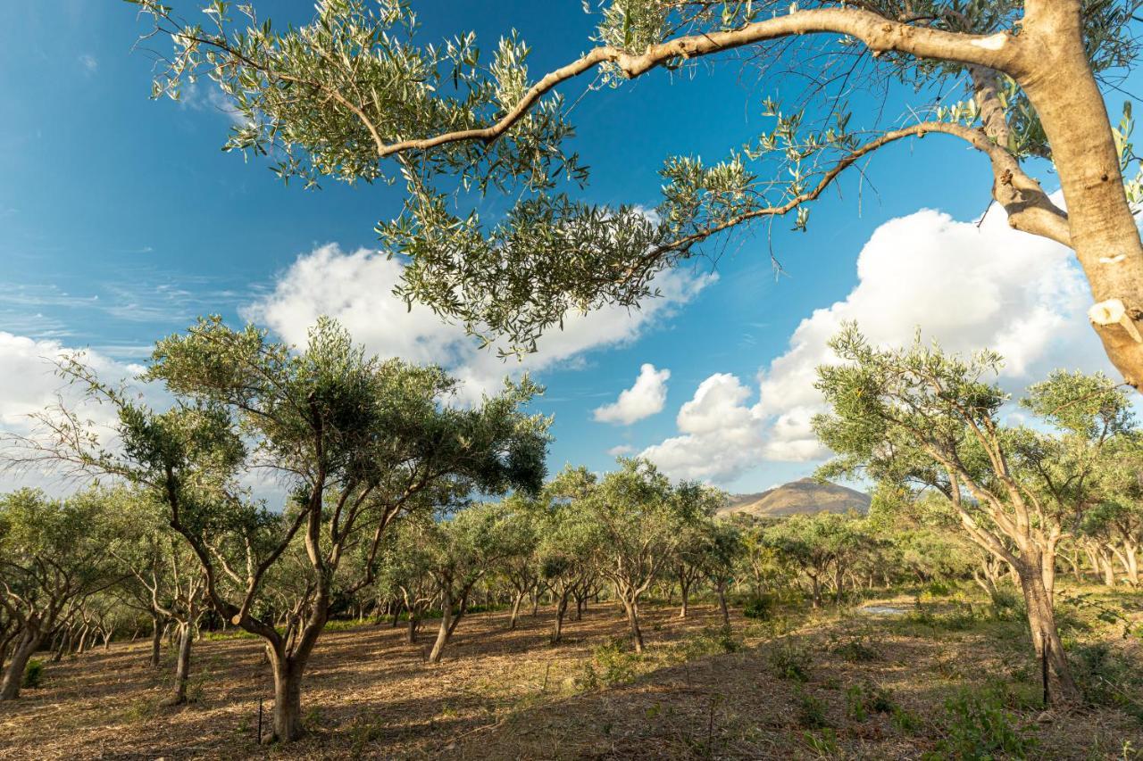 Solemar Sicilia - Le Casette Di Calzata カンポフェリーチェ・ディ・ロッチェッラ エクステリア 写真